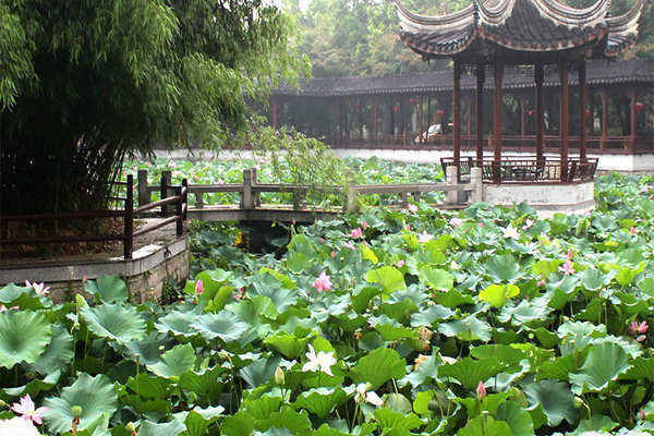 梨花邨生態(tài)園